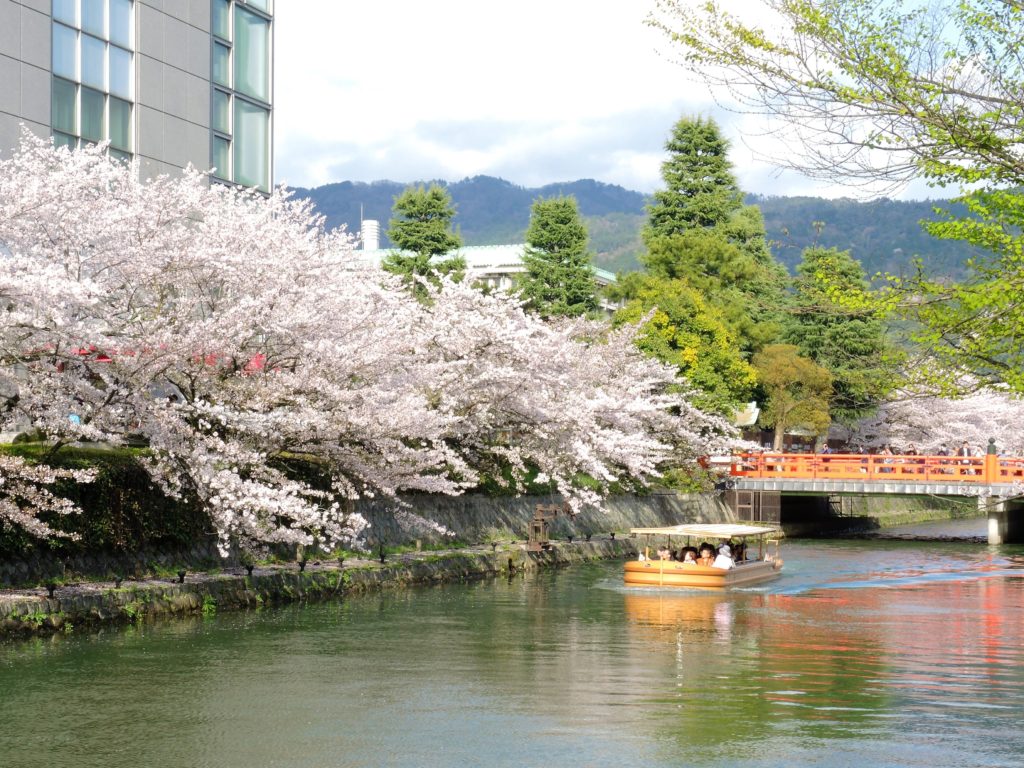 京都「桜廻廊」十石舟めぐり