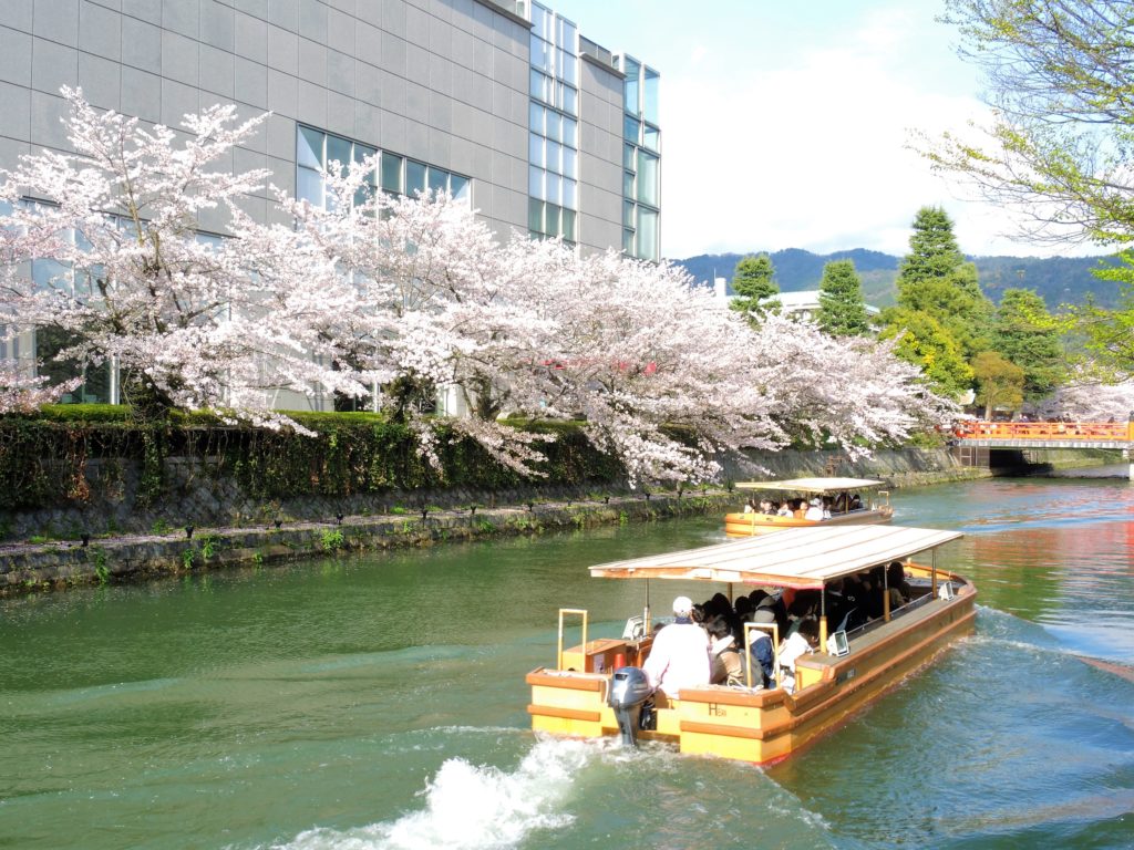 京都「桜廻廊」十石舟めぐり