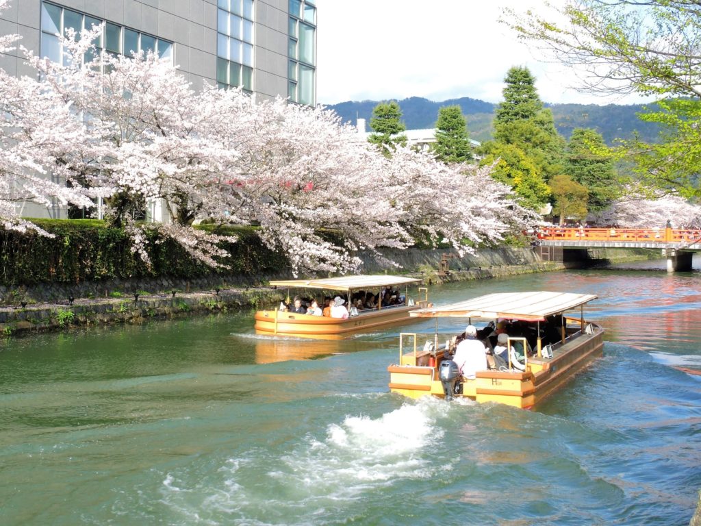 京都「桜廻廊」十石舟めぐり
