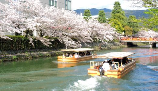 京都「桜廻廊」十石舟めぐり