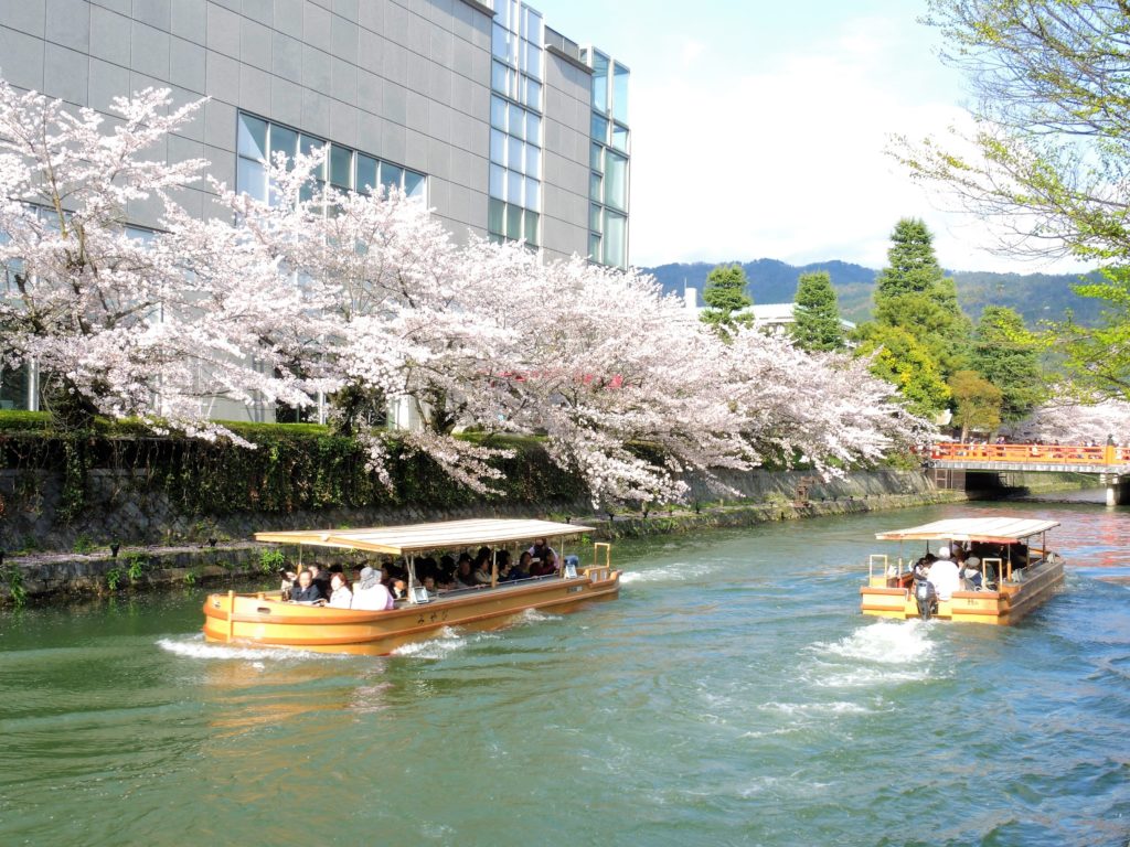 京都「桜廻廊」十石舟めぐり