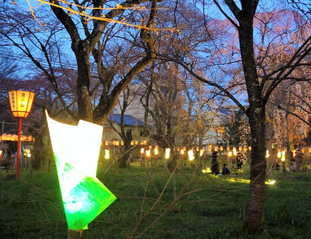 京都「平野神社」桜苑・ライトアップ