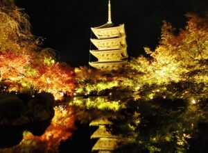 京都・世界遺産「東寺」五重塔と紅葉ライトアップ