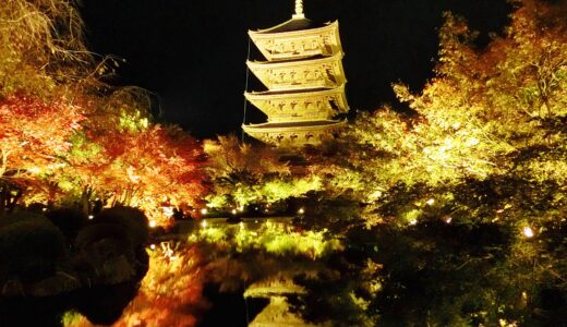 ✨2023年 京都・世界遺産「東寺」教王護国寺・五重塔と紅葉ライトアップの日程