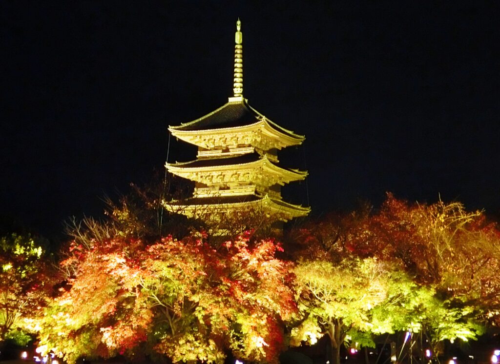 京都「東寺」五重塔と紅葉ライトアップ