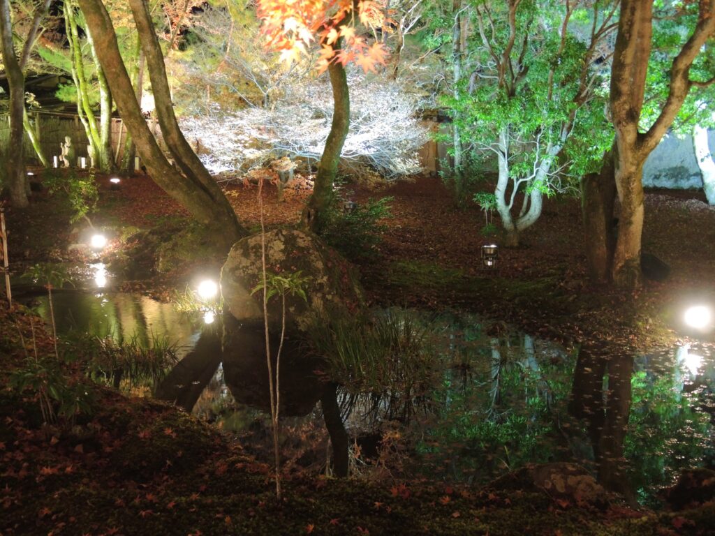 京都「宝厳院」秋のライトアっプ