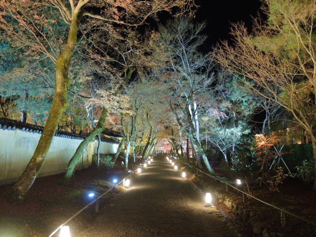 京都「宝厳院」秋のライトアップ