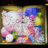 京都「二条城」桜まつり・NAKED FLOWERS BOOK