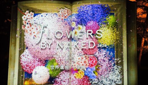 🌸2022 京都・世界遺産「二条城」桜まつりのご案内　NAKED FLOWERS BOOK