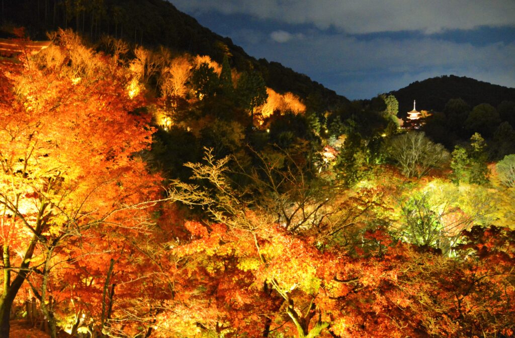 京都・世界遺産「清水寺」紅葉ライトアップ