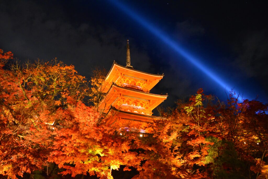 京都・世界遺産「清水寺」三重塔・紅葉ライトアップ