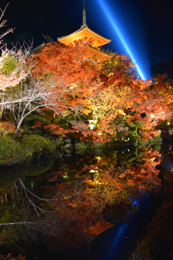 京都・世界遺産「清水寺」三重塔・紅葉ライトアップ