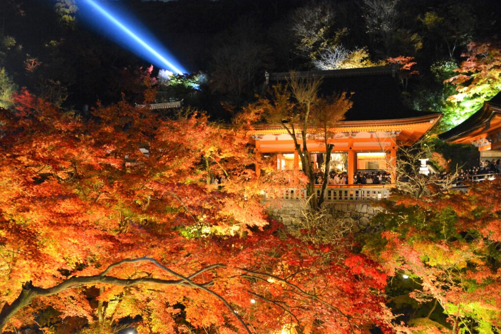 京都・世界遺産「清水寺」ライトアップ