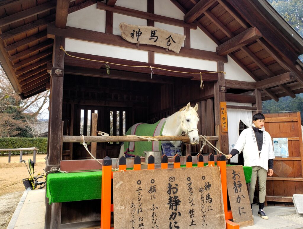 京都「上賀茂神社」神馬