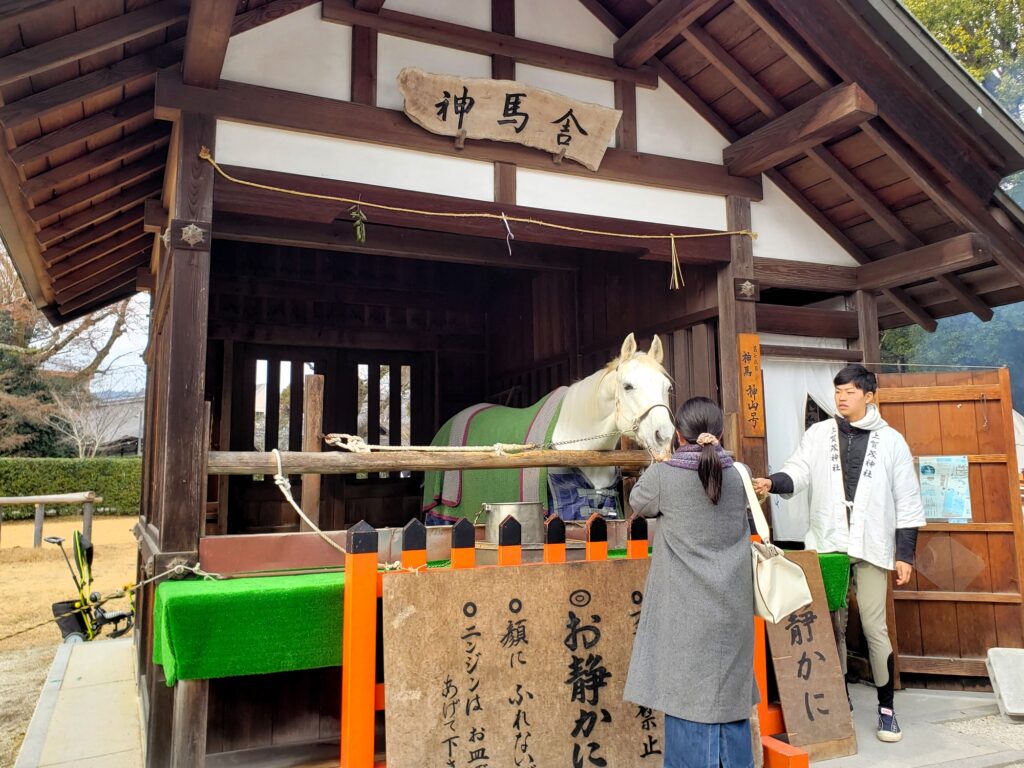 京都「上賀茂神社」神馬
