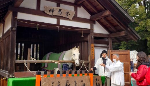 🐎 2024 京都・世界遺産「上賀茂神社」初詣・白馬の神馬（しんめ）神山号