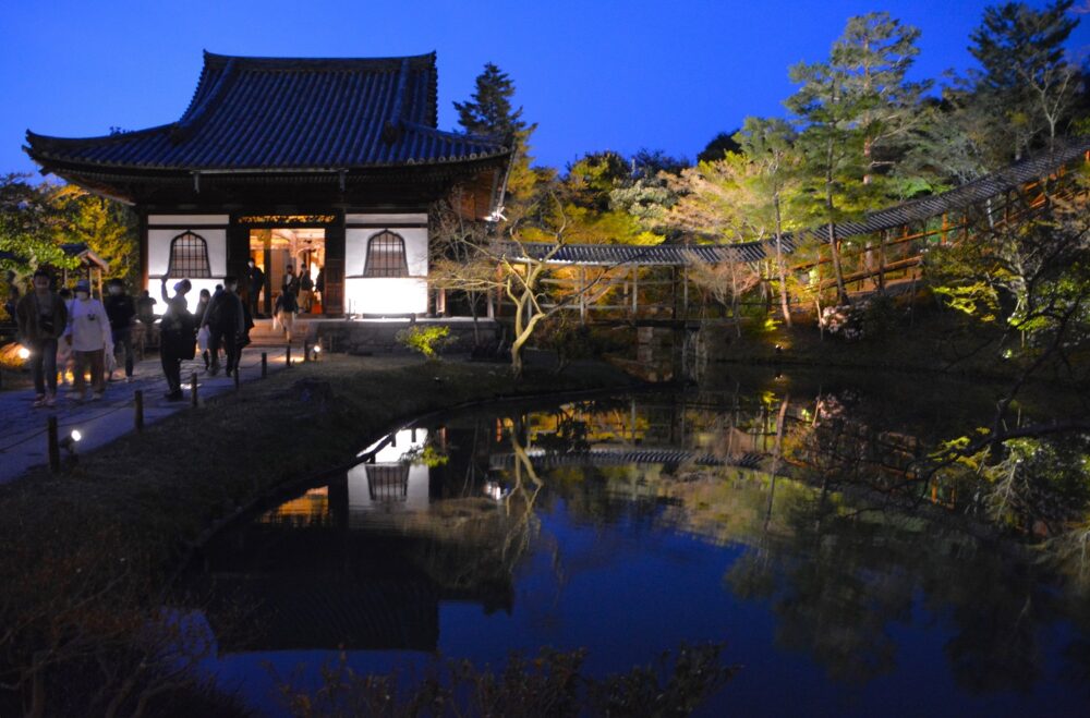 京都「高台寺」ライトアップ