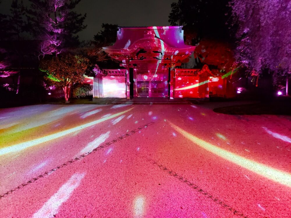 京都「高台寺」春のプロジェクションマッピング