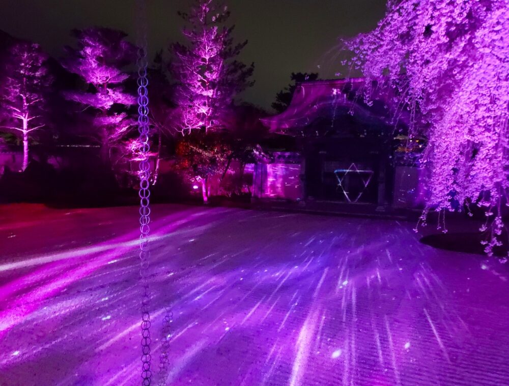 京都「高台寺」春のプロジェクションマッピング