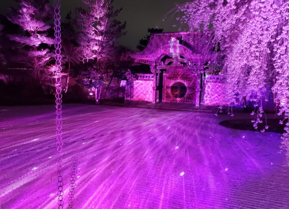 京都「高台寺」春のプロジェクションマッピング