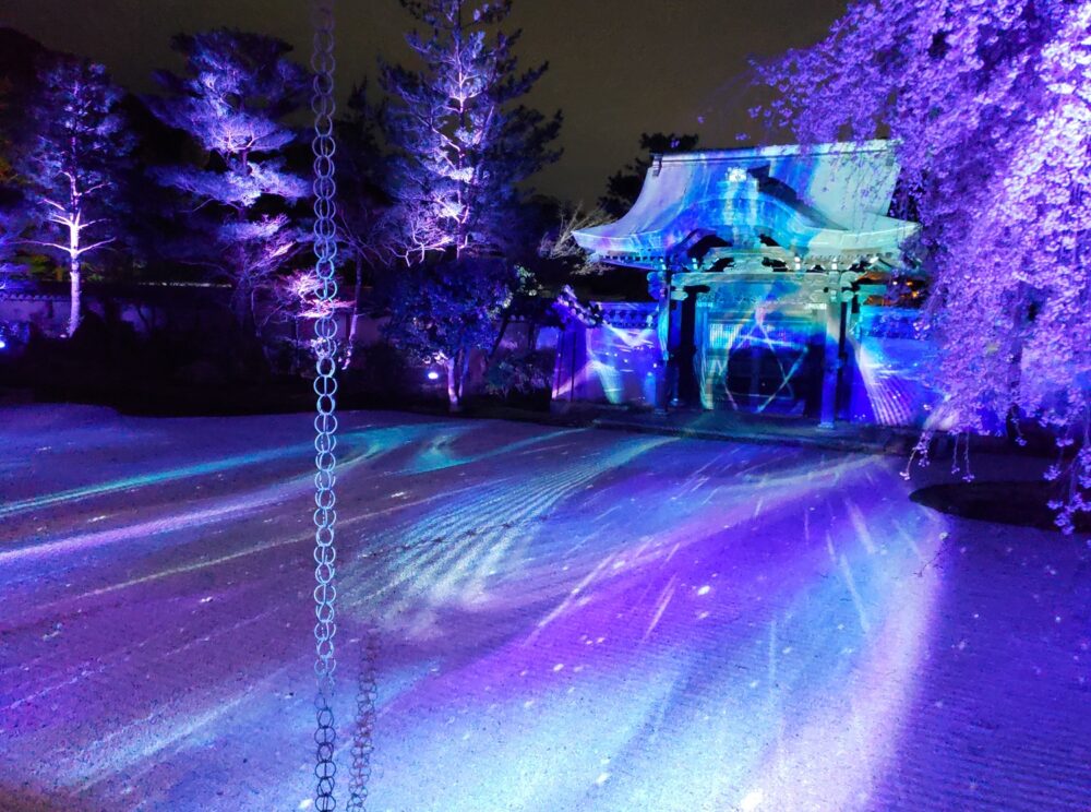 京都「高台寺」春のプロジェクションマッピング