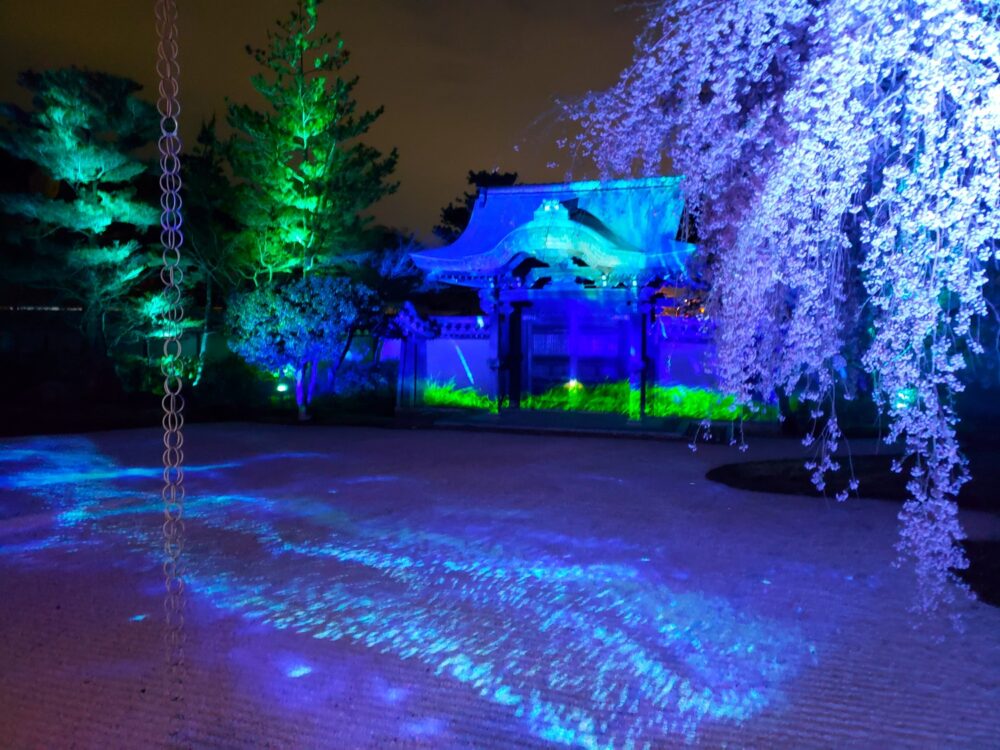 京都「高台寺」春のプロジェクションマッピング