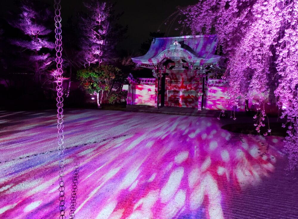 京都「高台寺」春のプロジェクションマッピング