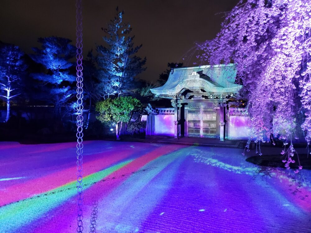 京都「高台寺」春のプロジェクションマッピング