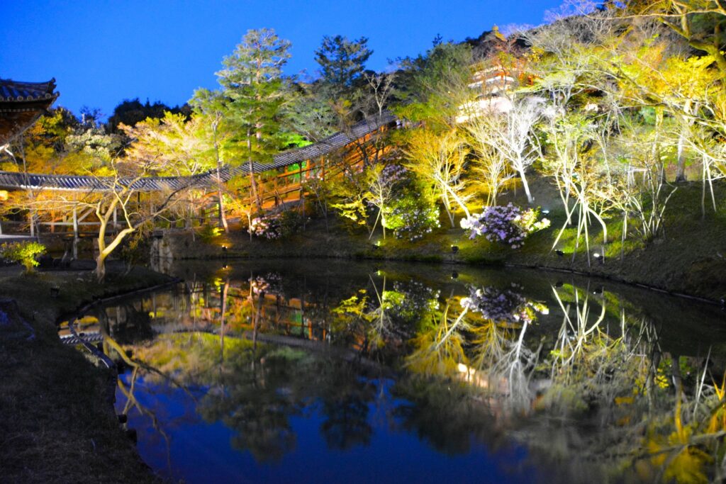 京都「高台寺」庭園ライトアップ