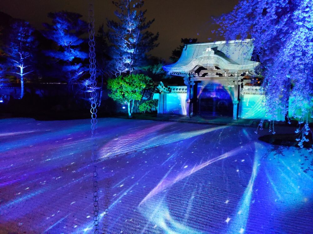 京都「高台寺」春のプロジェクションマッピング