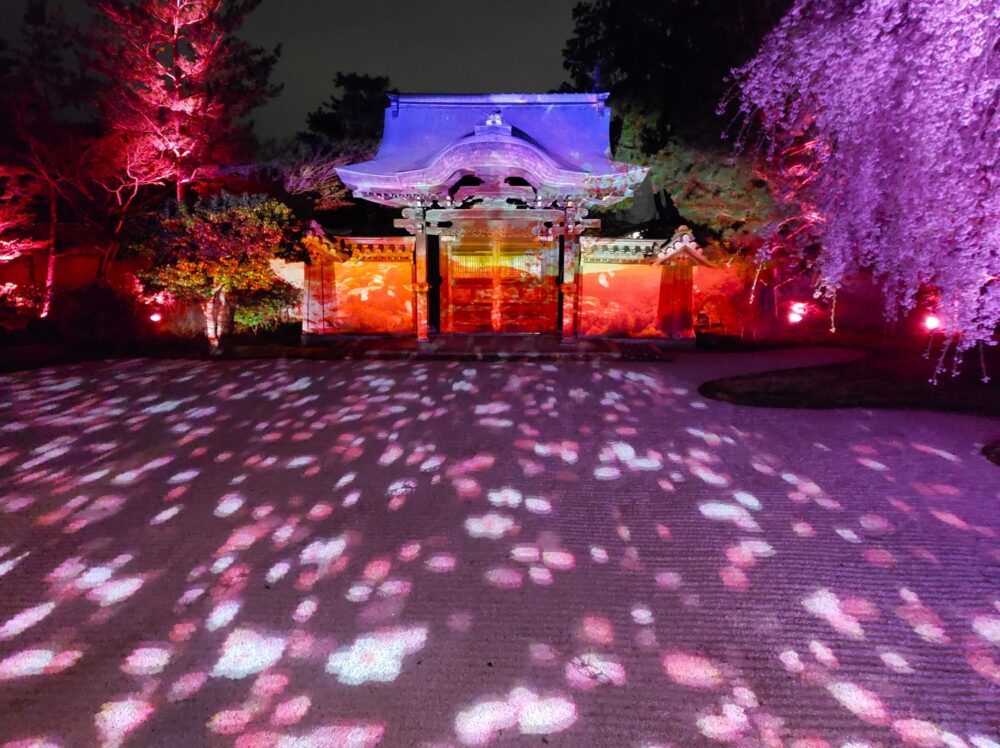 京都「高台寺」プロジェクションマッピング