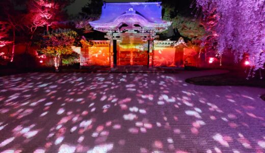✨2024 京都「高台寺」春の夜間拝観・プロジェクションマッピング 日程