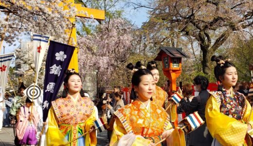 👘 2024 京都・平野神社「桜花祭」の時代行列・花山天皇ゆかりの桜と祭（光る君へ）