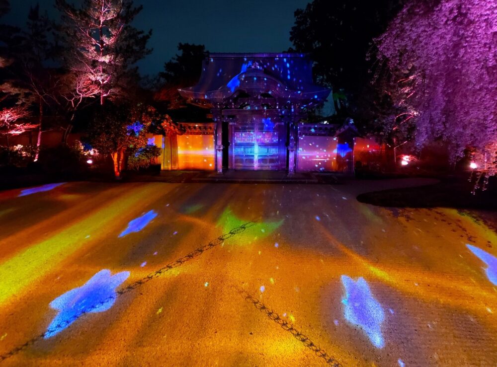 京都「高台寺」春のプロジェクションマッピング