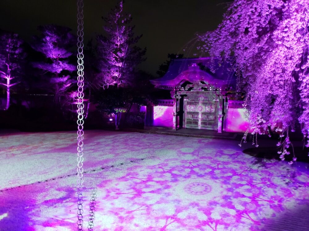 京都「高台寺」春のプロジェクションマッピング