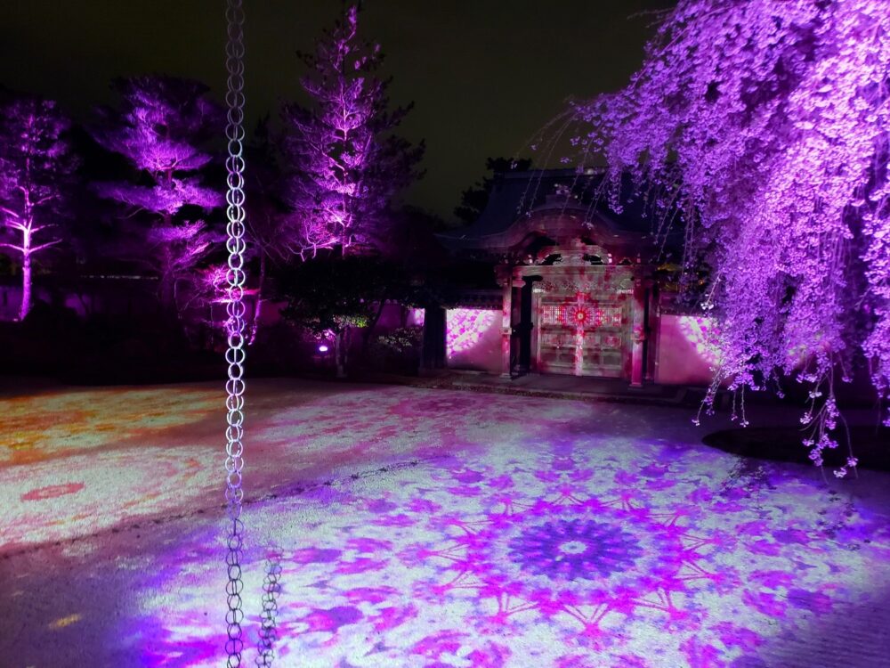 京都「高台寺」春のプロジェクションマッピング