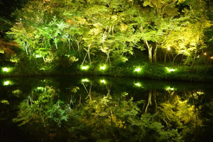 京都「高台寺」鏡池