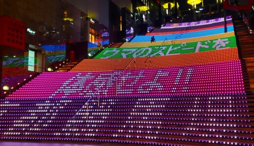 🐎 2024 京都駅 大階段 グラフィカル「イルミネーションホース」日程