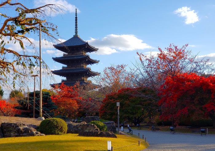 京都「東寺」秋の五重塔