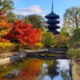 京都「東寺」秋の五重塔