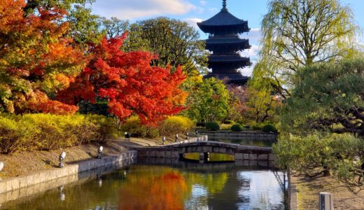 京都「東寺」秋の五重塔
