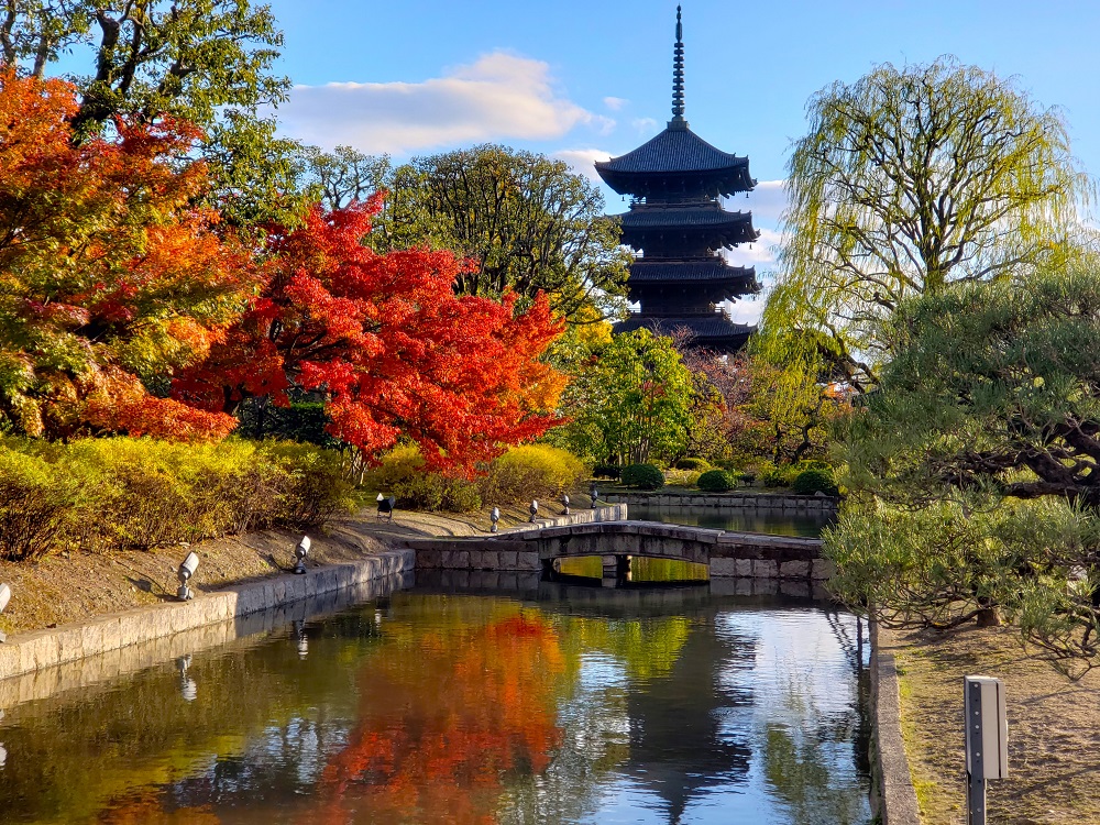 京都「東寺」秋の五重塔