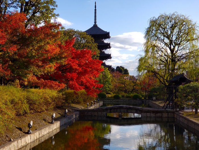 京都・秋の東寺