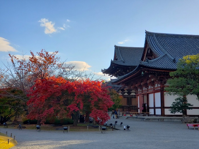 京都・秋の東寺